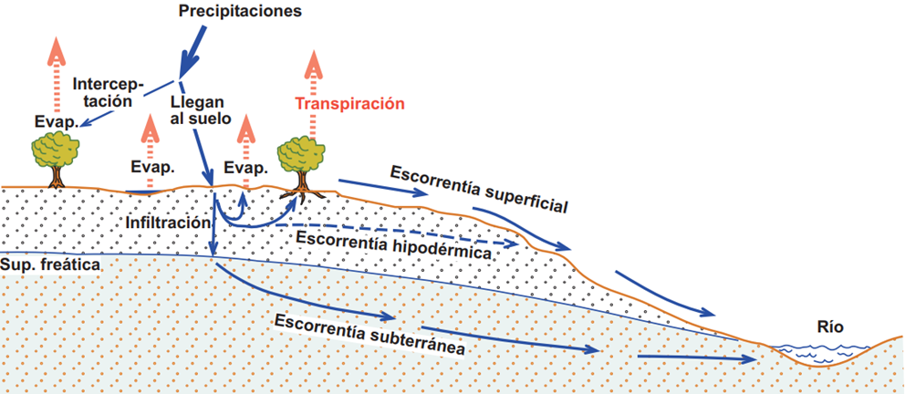 Ciclo hidrologico Componentes de un sistema hidrológico. Fuente: hidrologia.usal.es